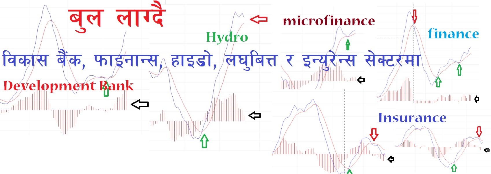 Bullish trend in Development Bank, Finance, Hydro and Insurance sector