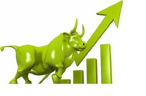 Investors fell victim to the double charges of  Nepal Clearing House while buying and selling shares